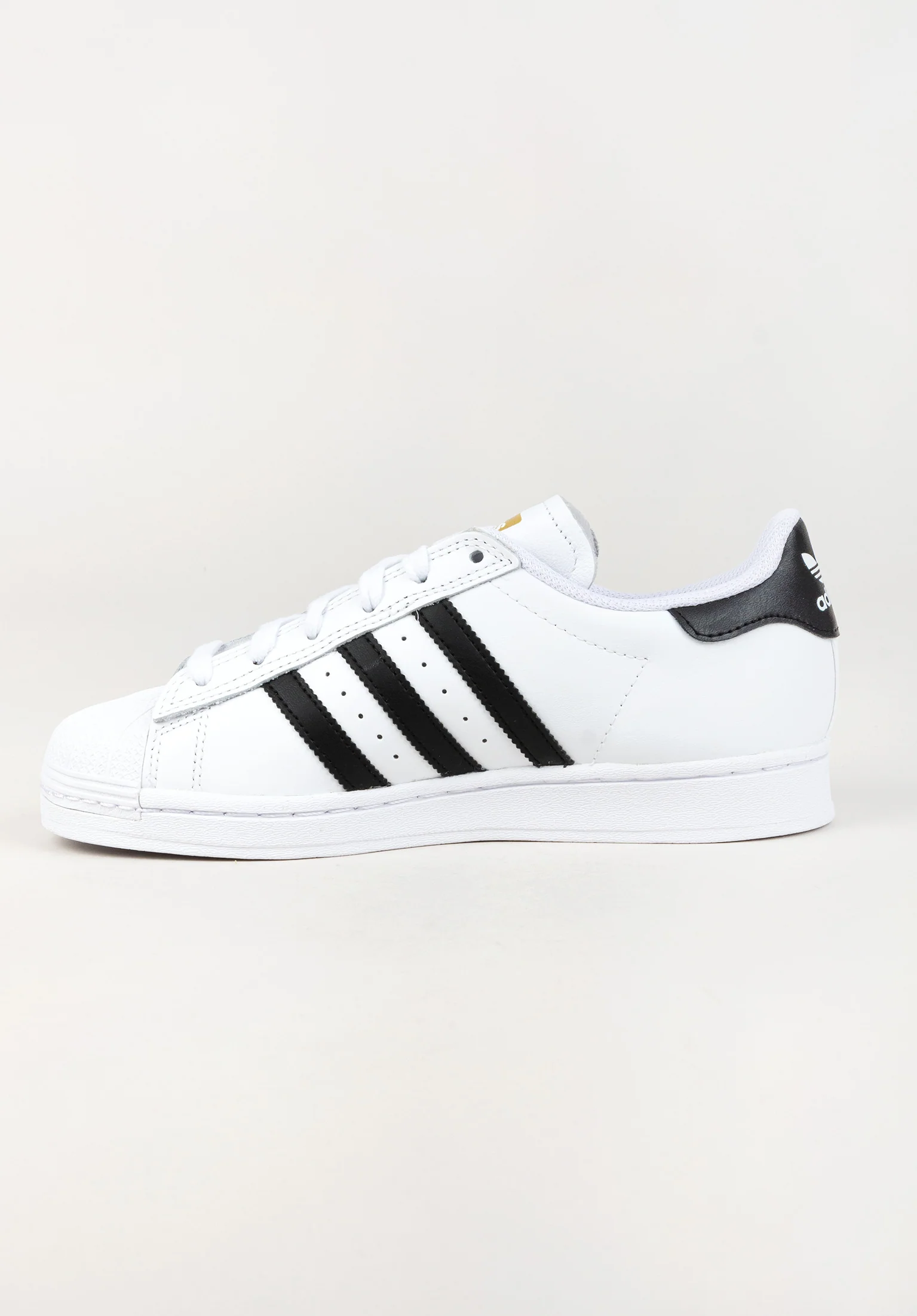 Superstar ADV - Image 5