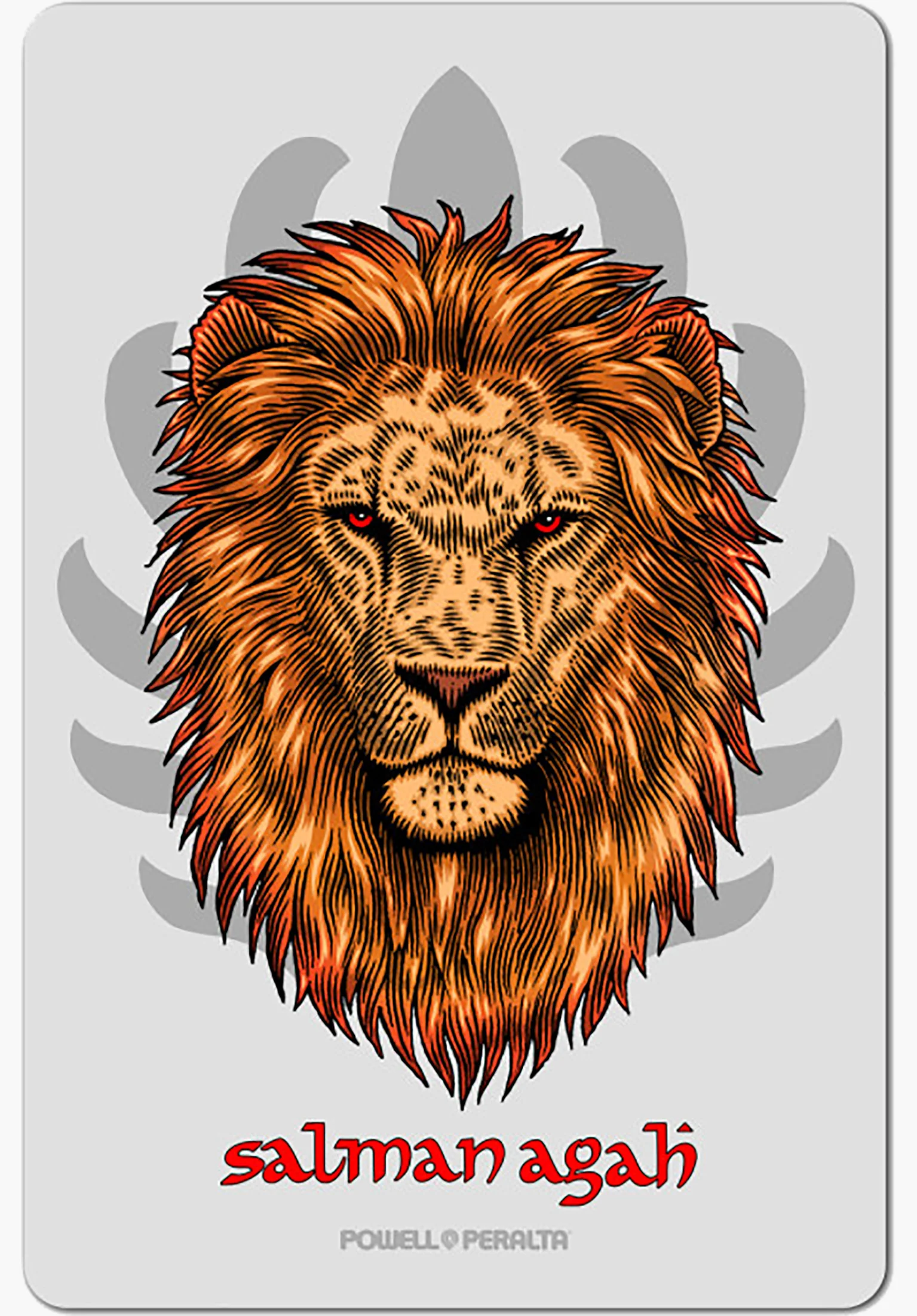 Salman Agah Lion 4.5" Sticker