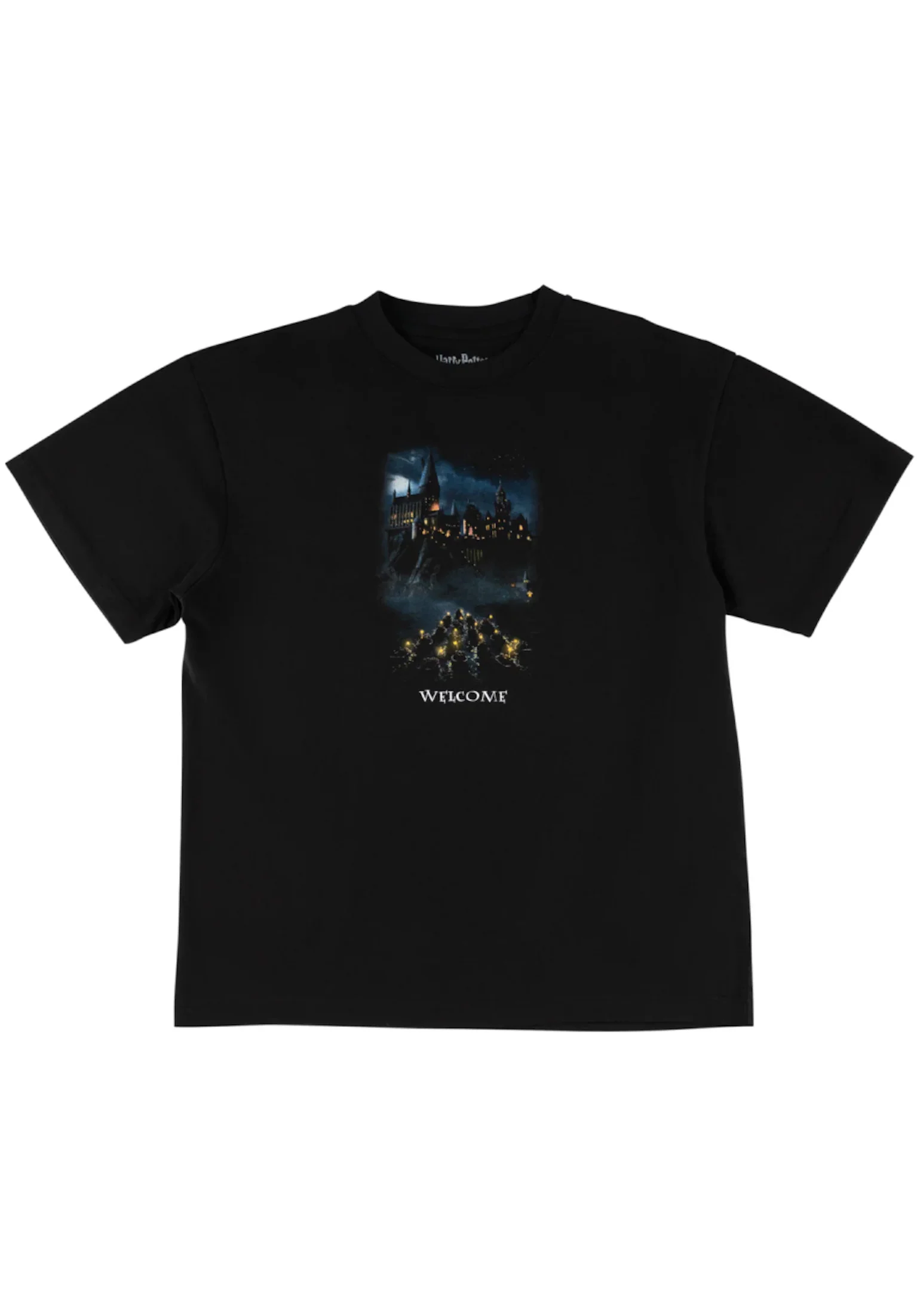 x Harry Potter Arrival
